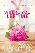 Where You Left Me, Vol. 3: A Lust to Lovers Romance (Where You Left Me #3) by Dani Bannister