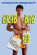 Grab Bag 23: A Gay Erotica Anthology  (Grab Bag Gay Erotica Anthologies) by Habu