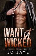 Want It Wicked (The Breakaleg Trilogy #3) by J.C. Jaye