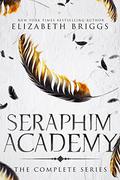 Seraphim Academy: The Complete Series by Elizabeth Briggs