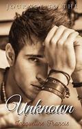 Journey to the Unknown (Meet the Shepards #3) by Jacqueline Francis