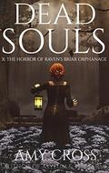 The Horror of Raven's Briar Orphanage (Dead Souls #10) by Amy Cross