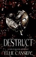 Destruct: Dark Paranormal Romance (Eclipse Warlocks #2) by Ellie Cassidy