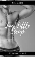 Tiny Little Scrap (Straight Lace #4) by N E Mack
