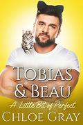Tobias and Beau (A Little Bit of Perfect #3) by Chloe Gray