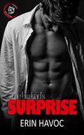 THE BIG BAD'S SURPRISE: An Age Gap Curvy Romance by Erin Havoc