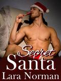 Secret Santa by Lara Norman