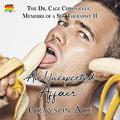 An Unexpected Affair (The Dr. Cage Chronicles: Memoirs of a Sex Therapist #11) by Grayson Ace