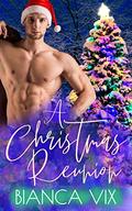 A Christmas Reunion by Bianca Vix