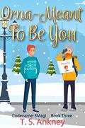 Orna-Meant To Be You by T.S. Ankney