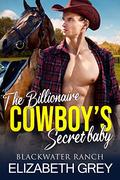 The Billionaire Cowboy's Secret Baby: Accidental Pregnancy Western Romance by Elizabeth Grey