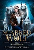 Scarred Wolf by Elizabeth Blackthorne