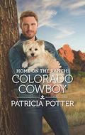 Colorado Cowboy (Home to Covenant Falls #6) by Patricia Potter