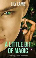 A LITTLE BIT OF MAGIC by Lily Lamb