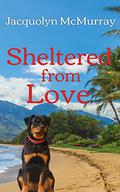 Sheltered from Love: Clean & Wholesome Second Chance Romance by Jacquolyn McMurray