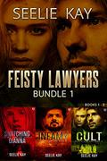 Feisty Lawyers Bundle by Seelie Kay