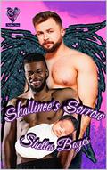 Shallinee’s Sorrow (Shallinee #10) by Shelles Boyes