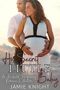 His Secret Little Baby (His Secret Baby Romance Collection #9) by Jamie Knight