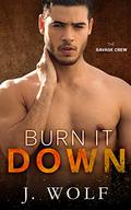 Burn it Down by Julia Wolf