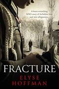Fracture (Project #613) by Elyse Hoffman