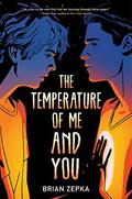 The Temperature of Me and You by Brian Zepka