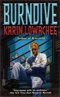 Burndive by Karin Lowachee