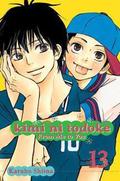 Kimi ni Todoke: From Me to You, Vol. 13 by Karuho Shiina