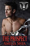 The Prospect by Amelia Shea