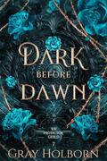 Dark Before Dawn (The Protector Guild #7) by Gray Holborn