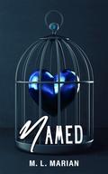 Named (Finders Keepers #3) by M.L. Marian