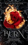 Burn (Foolish Kingdoms #3) by Natalia Jaster