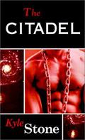 The Citadel (PB 500 #2) by Kyle Stone