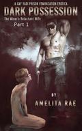 Dark Possession (The Miner's Reluctant Wife #1) by Amelita Rae