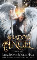 Shadow Angel: Book Two by Leia Stone, Julie Hall