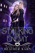Stalking the Enemy Complete Series: Books 1-4 by Heather Karn