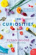 The Joy Collector by Susan Gloss