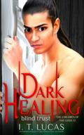 Dark Healing Blind Trust by I. T. Lucas