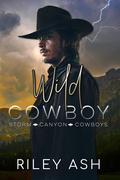 Wild Cowboy: A Secret Baby Romance (Storm Canyon Cowboys #3) by Riley Ash