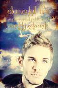 Elemental Fire (Paranormal Public #5) by Maddy Edwards