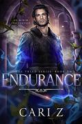 Endurance (The Triad #2) by Cari Z.