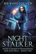 Night Stalker by B.R. Kingsolver