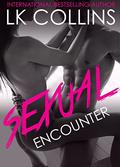 Sexual Encounter by L.K. Collins
