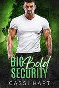 Big Bold Security by Cassi Hart