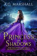 Princess of Shadows (Fairy Tale Adventures #1) by A.G. Marshall