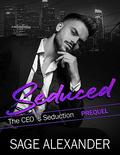 Seduced: A Billionaire CEO Romance by Sage Alexander