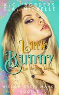 Little Bunny: Willow Creek Manor Series by K.C. Borders
