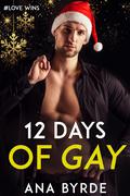12 Days of Gay (#Love Wins #5) by Ana Byrde