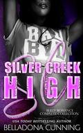 Silver Creek High: A High School Bully Romance Complete Box Set by Belladona Cunning
