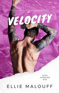Velocity (Colorado Storm Hockey #2) by Ellie Malouff