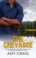 The Crevasse by Amy Craig